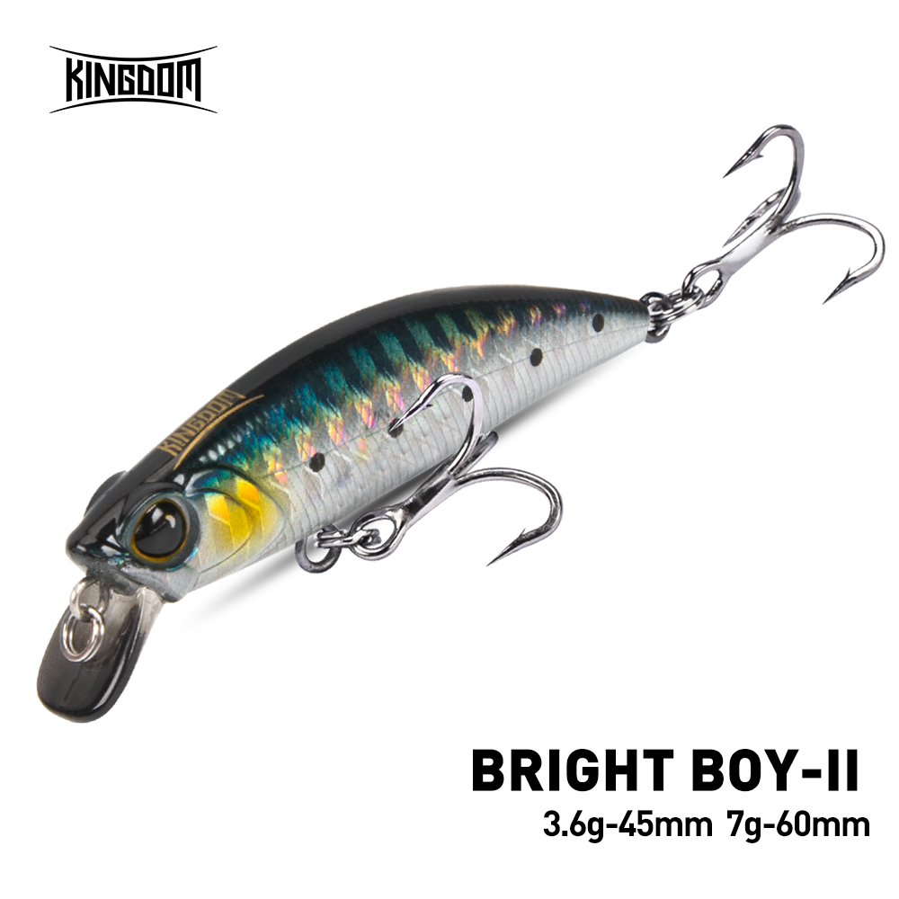 Kingdom Sinking Minnow Fishing - Fishing Equipment For Trout 评论和价格