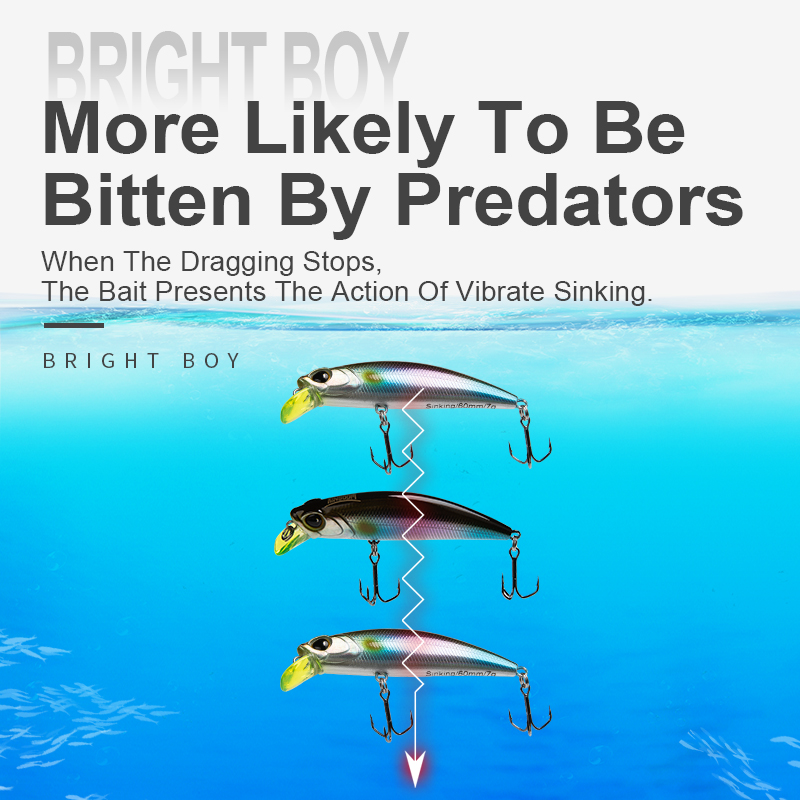 Kingdom Sinking Minnow Fishing - Fishing Equipment For Trout 评论和价格